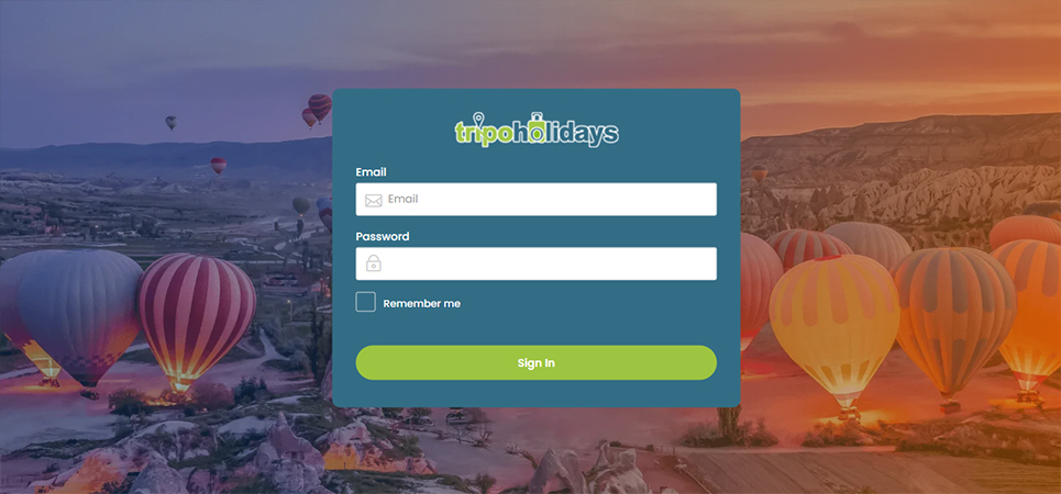 Website Designing